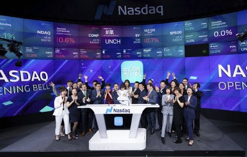 新氧科技醫(yī)美非標(biāo)之困 流量變現(xiàn)受阻與科技中介服務(wù)挑戰(zhàn)