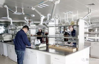 肥西縣高新技術企業認定實現新突破，社會經濟咨詢服務賦能產業升級